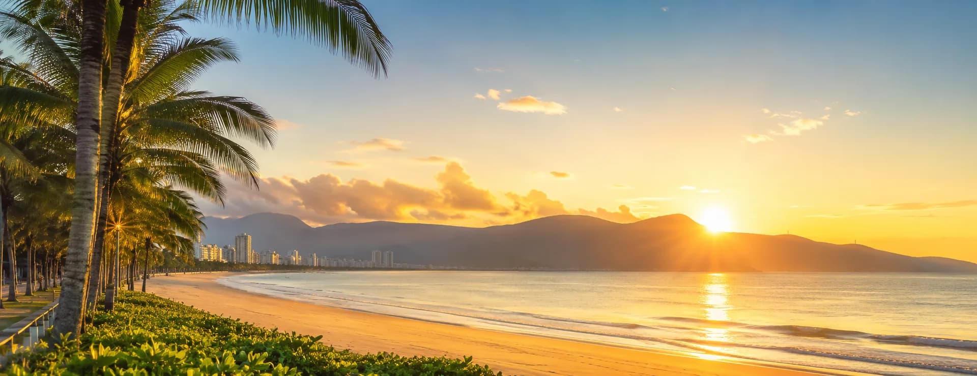 Da Nang coastal sunset with palm trees