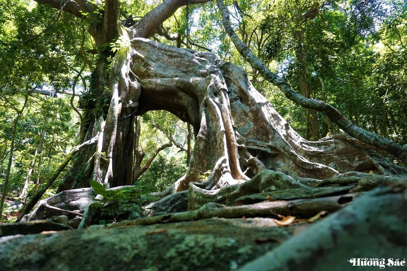 Hidden Cultural Experiences Of Central Vietnam